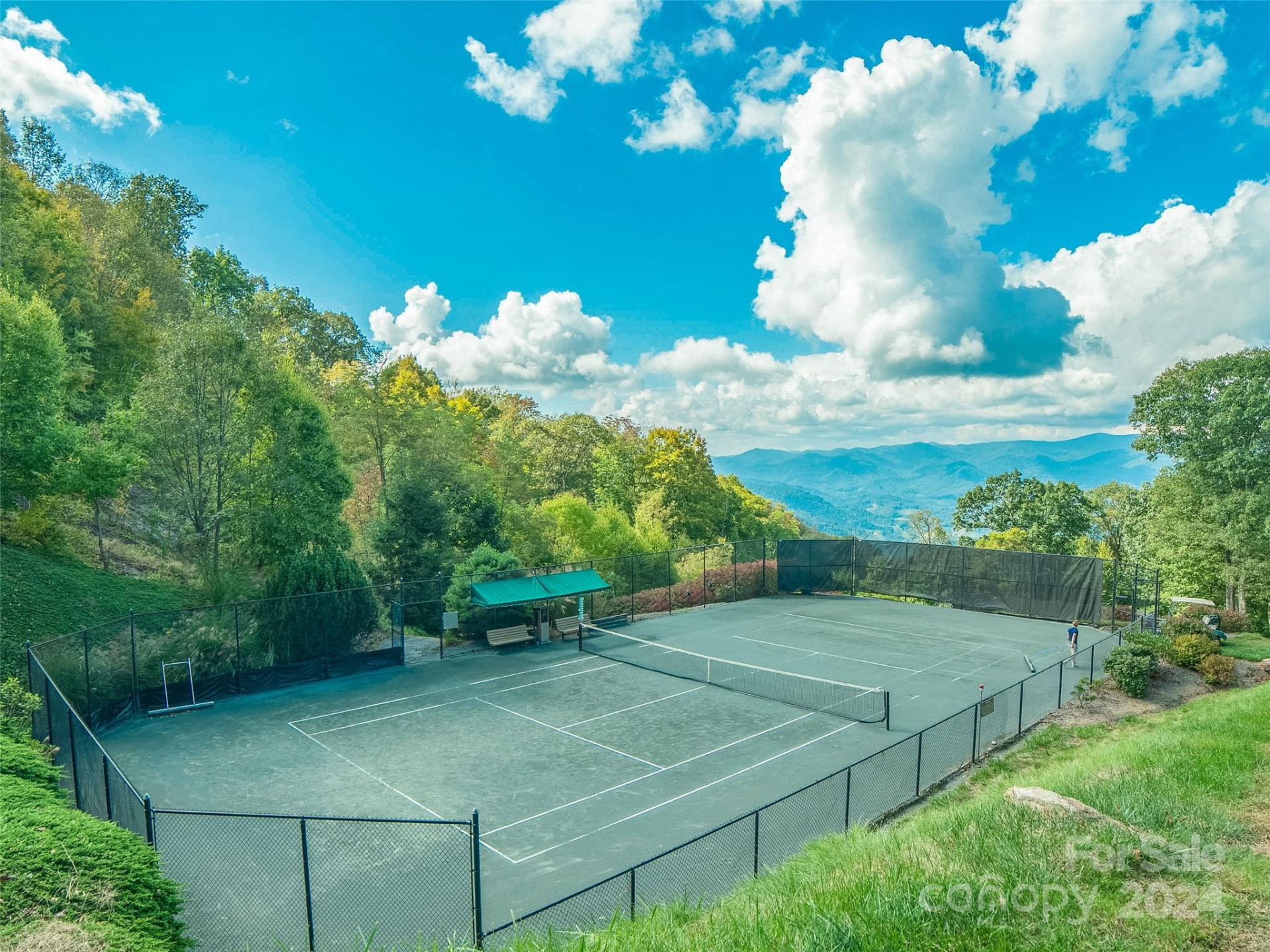 Lot 17 Old Growth Forest Road - Photo 15