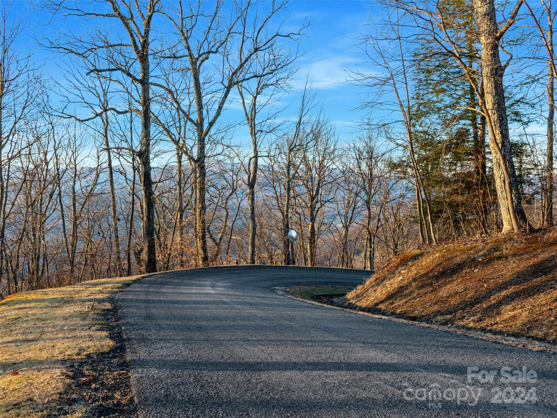Lot 17 Old Growth Forest Road - Photo 17