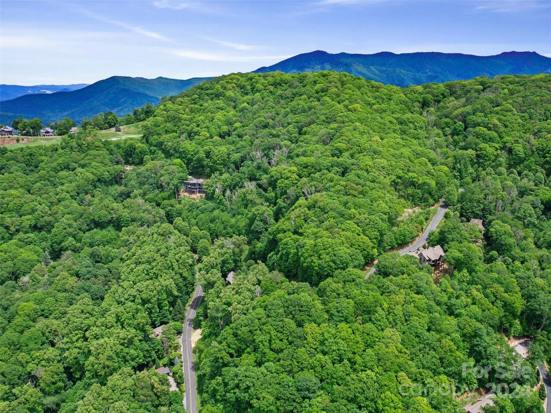 Lot 17 Old Growth Forest Road - Photo 3