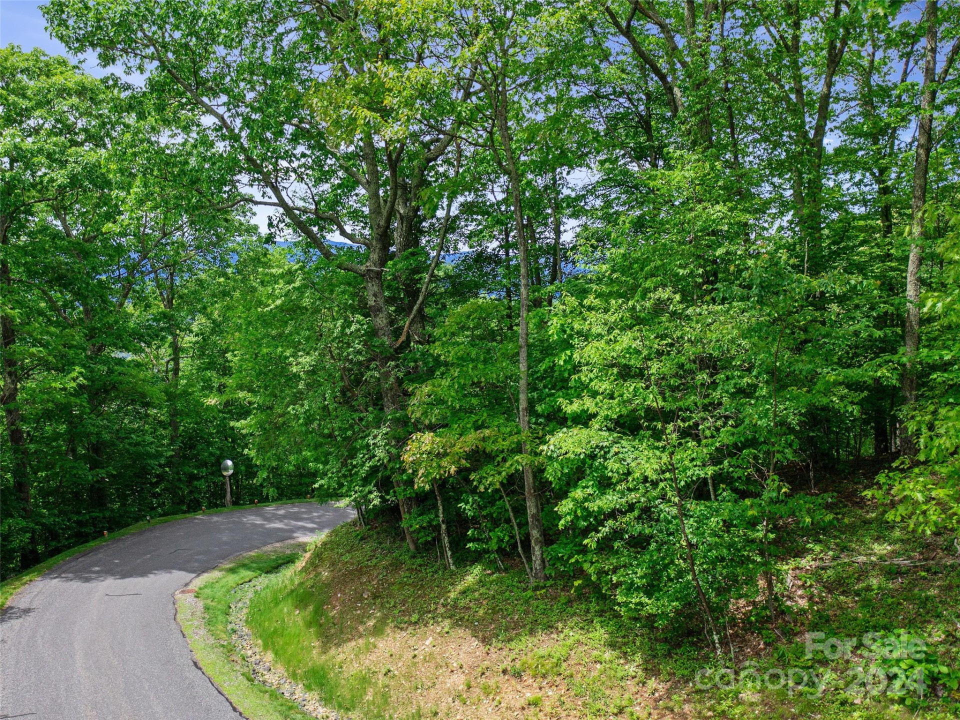 Lot 17 Old Growth Forest Road - Photo 4