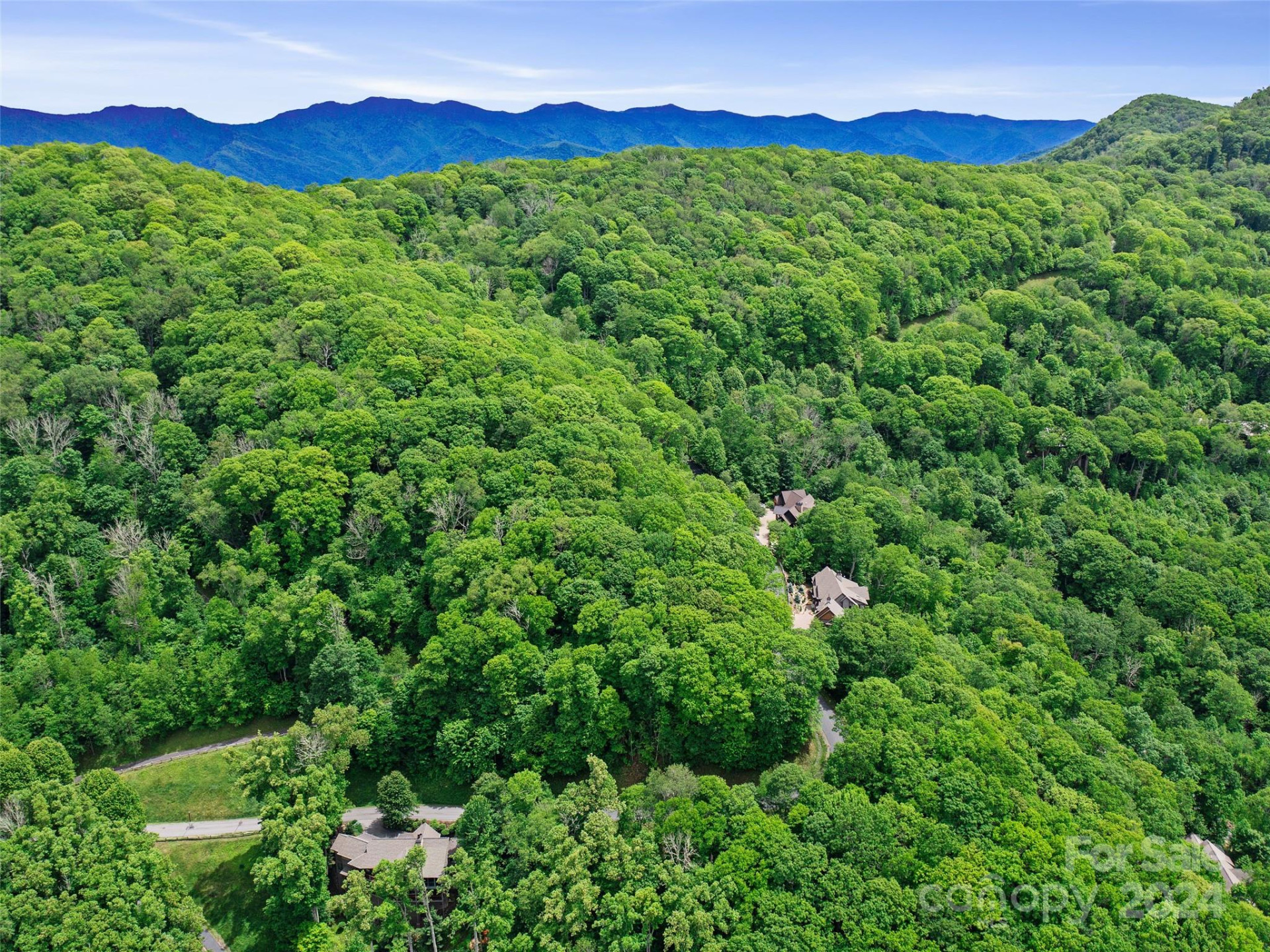 Lot 17 Old Growth Forest Road - Photo 5