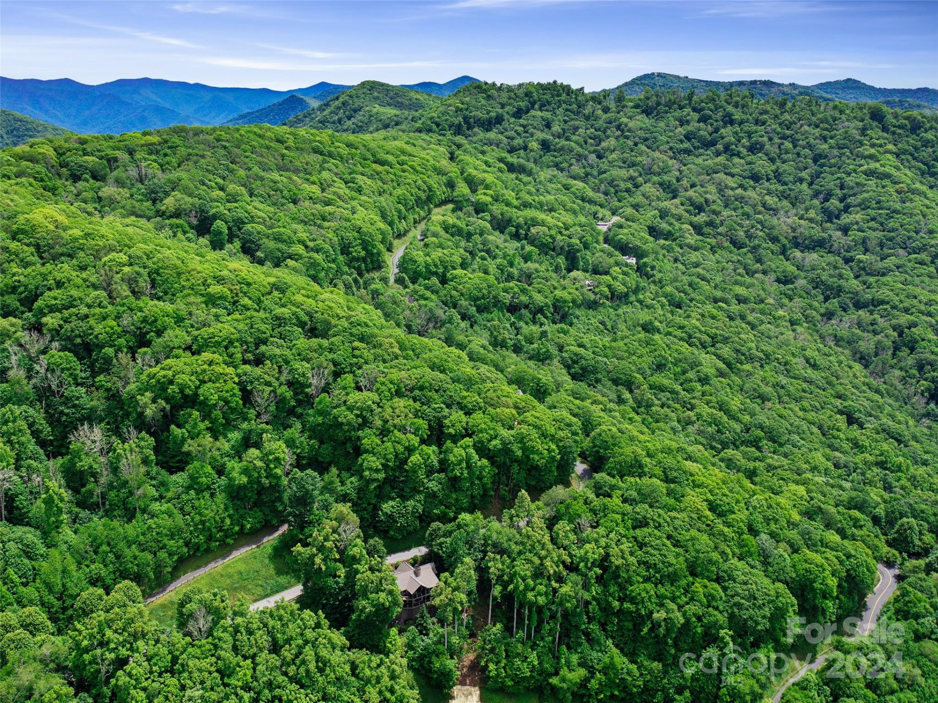 Lot 17 Old Growth Forest Road - Photo 6