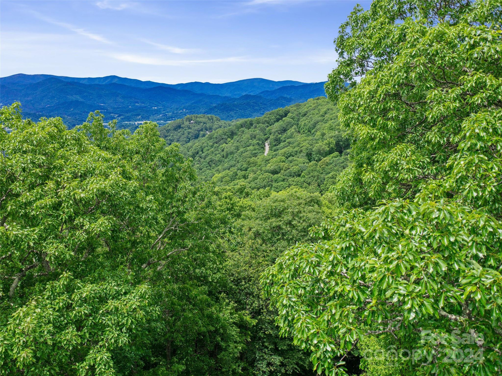 Lot 17 Old Growth Forest Road - Photo 7