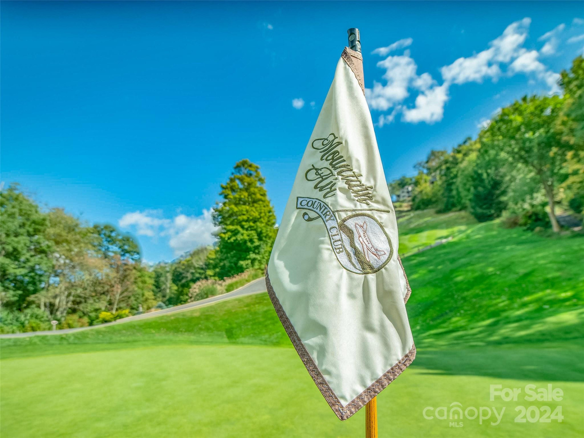 Lot 17 Old Growth Forest Road - Photo 10