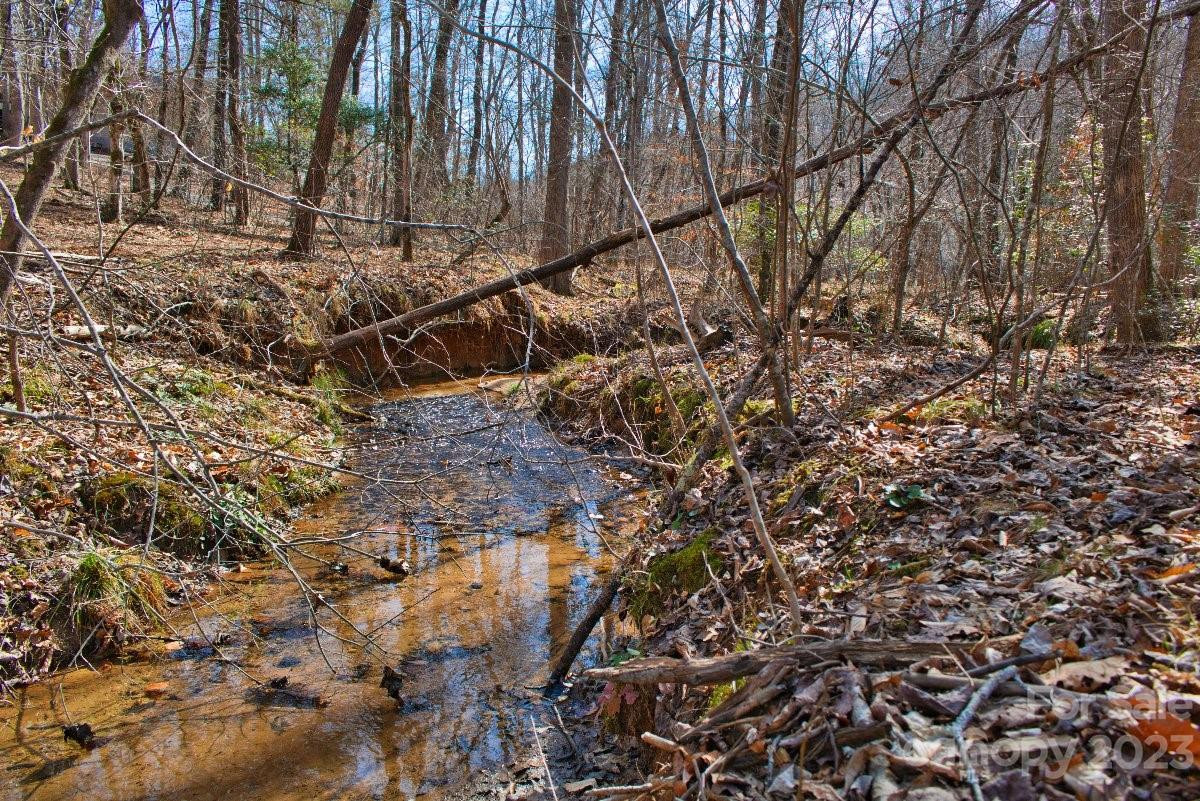 0 Woodstock Lane #170