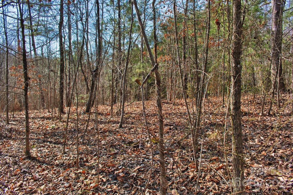 0 Woodstock Lane #170 - Photo 3