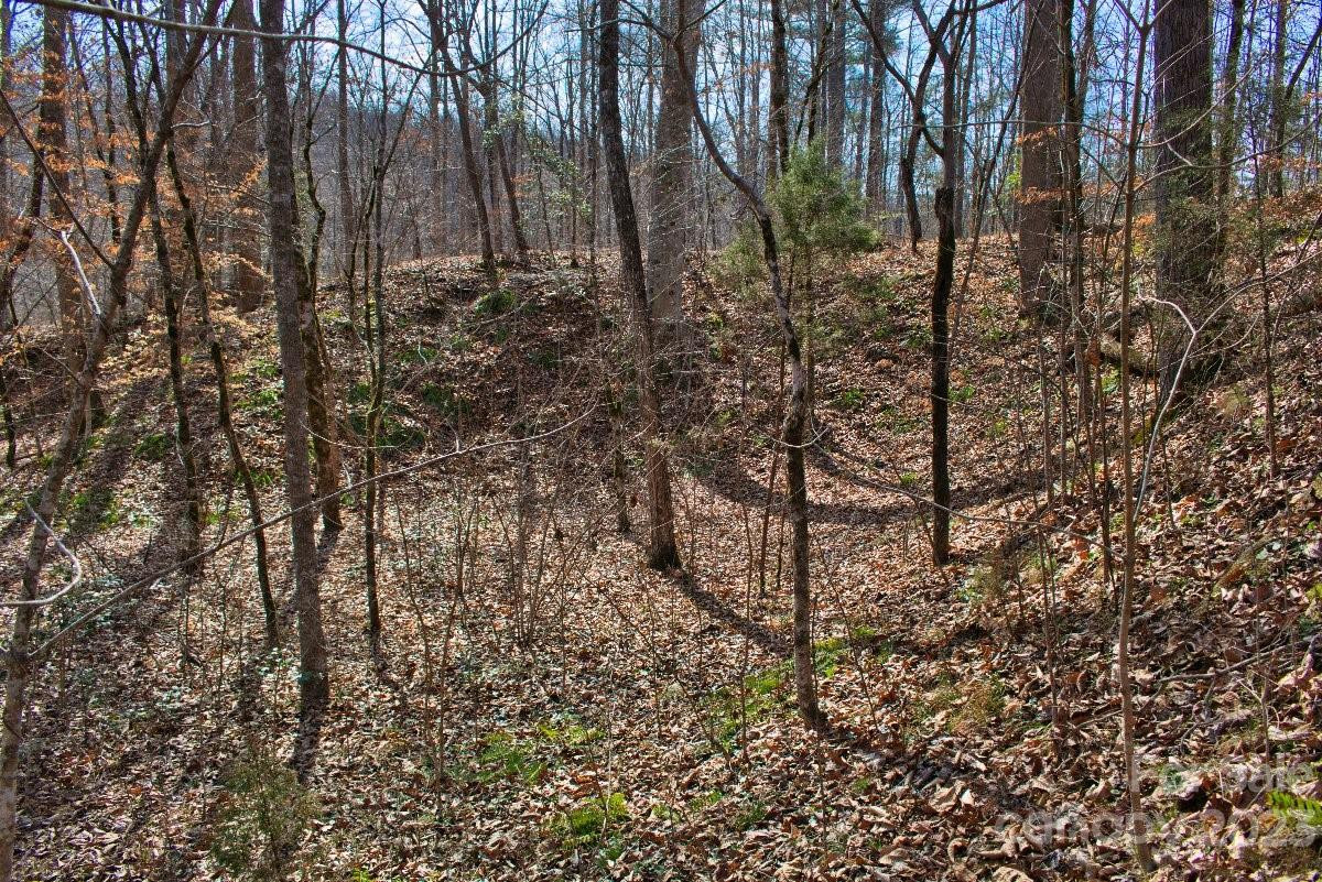 0 Woodstock Lane #170 - Photo 4