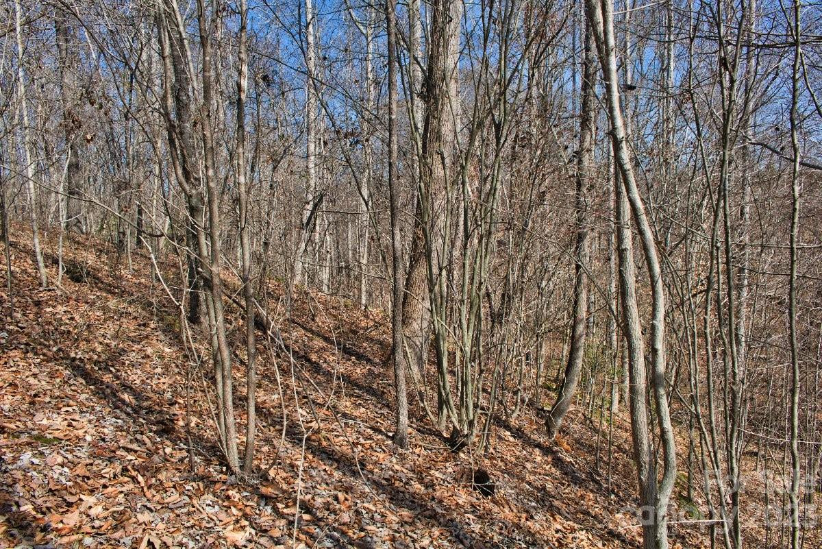 0 Woodstock Lane #170 - Photo 5