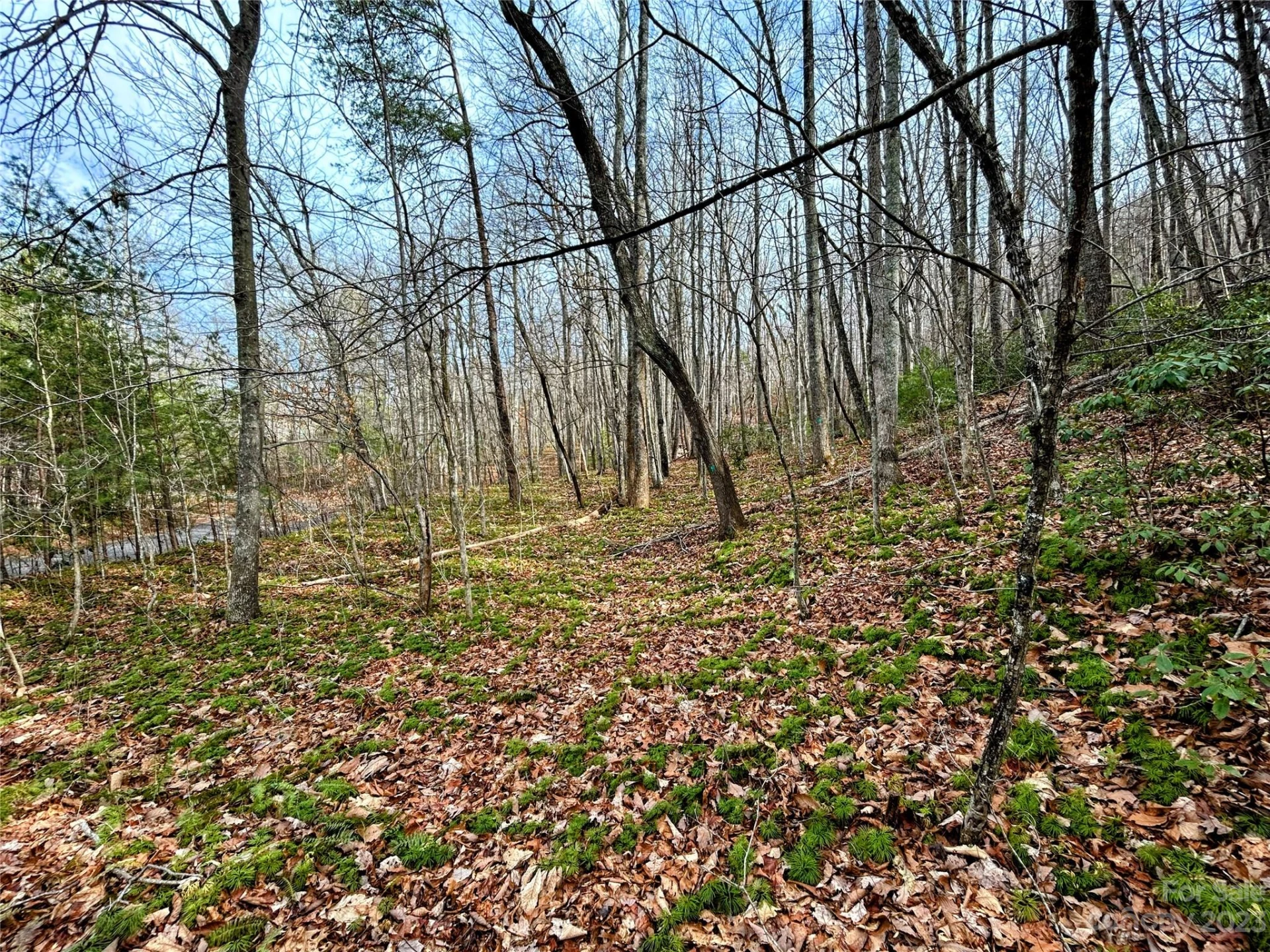 Lot 7 Azalea Way