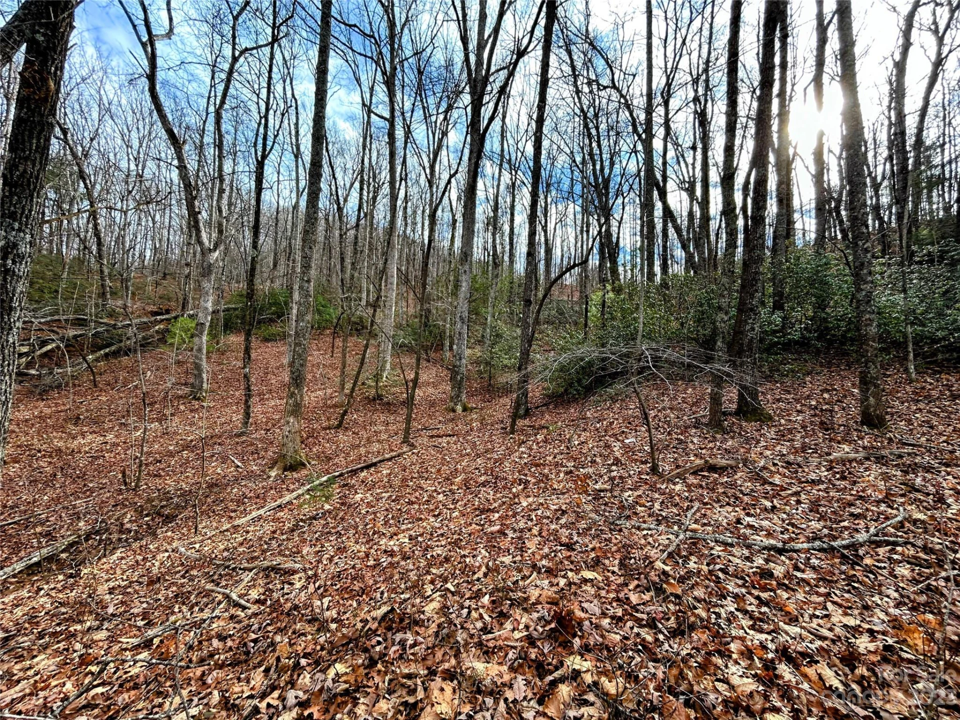 Lot 7 Azalea Way - Photo 3