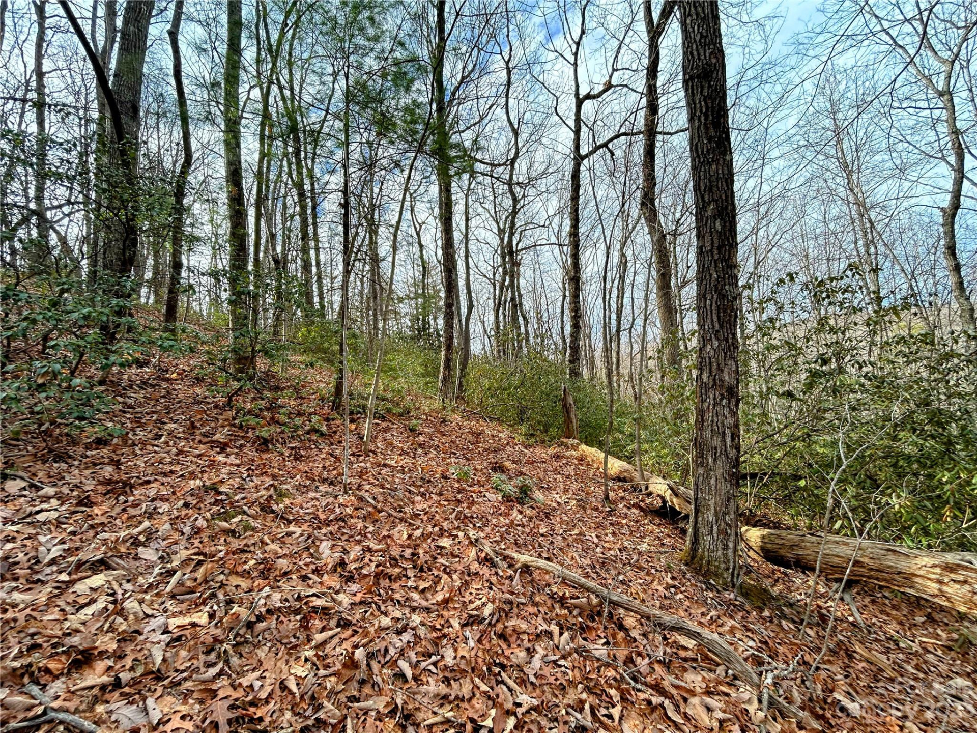 Lot 7 Azalea Way - Photo 5