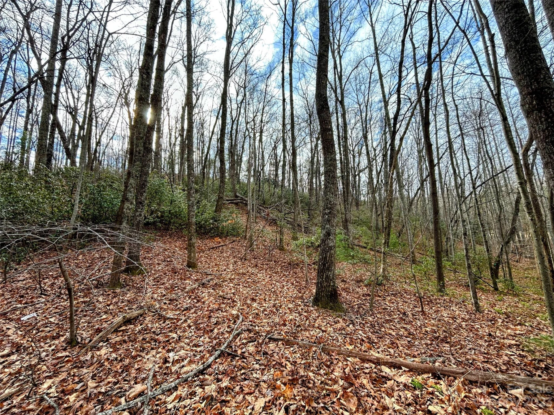 Lot 7 Azalea Way - Photo 6