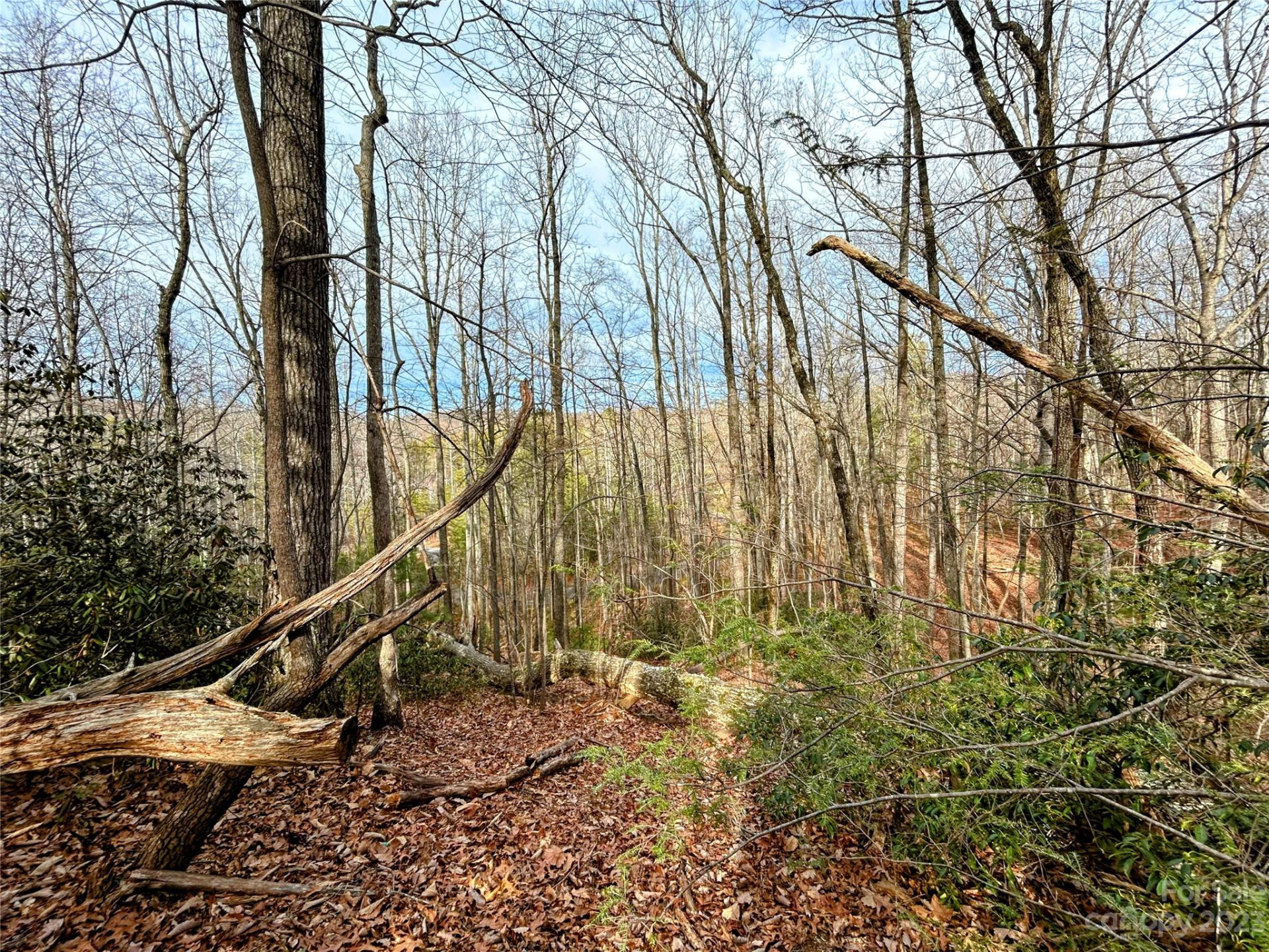 Lot 7 Azalea Way - Photo 7