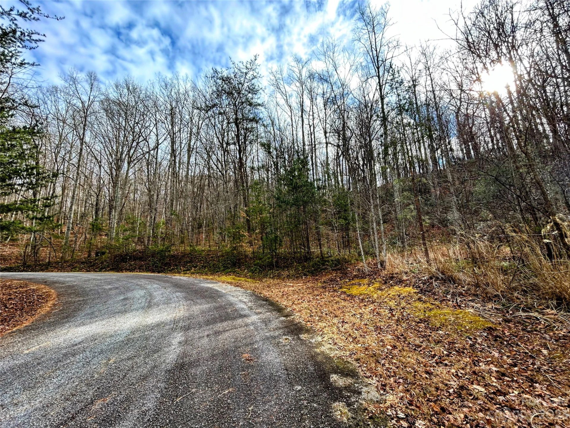 Lot 7 Azalea Way - Photo 8