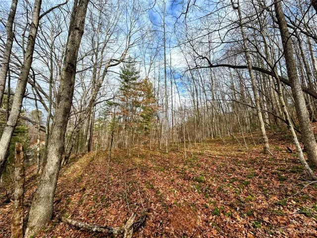 Lot 8 Azalea Way, Saluda, NC, 28773