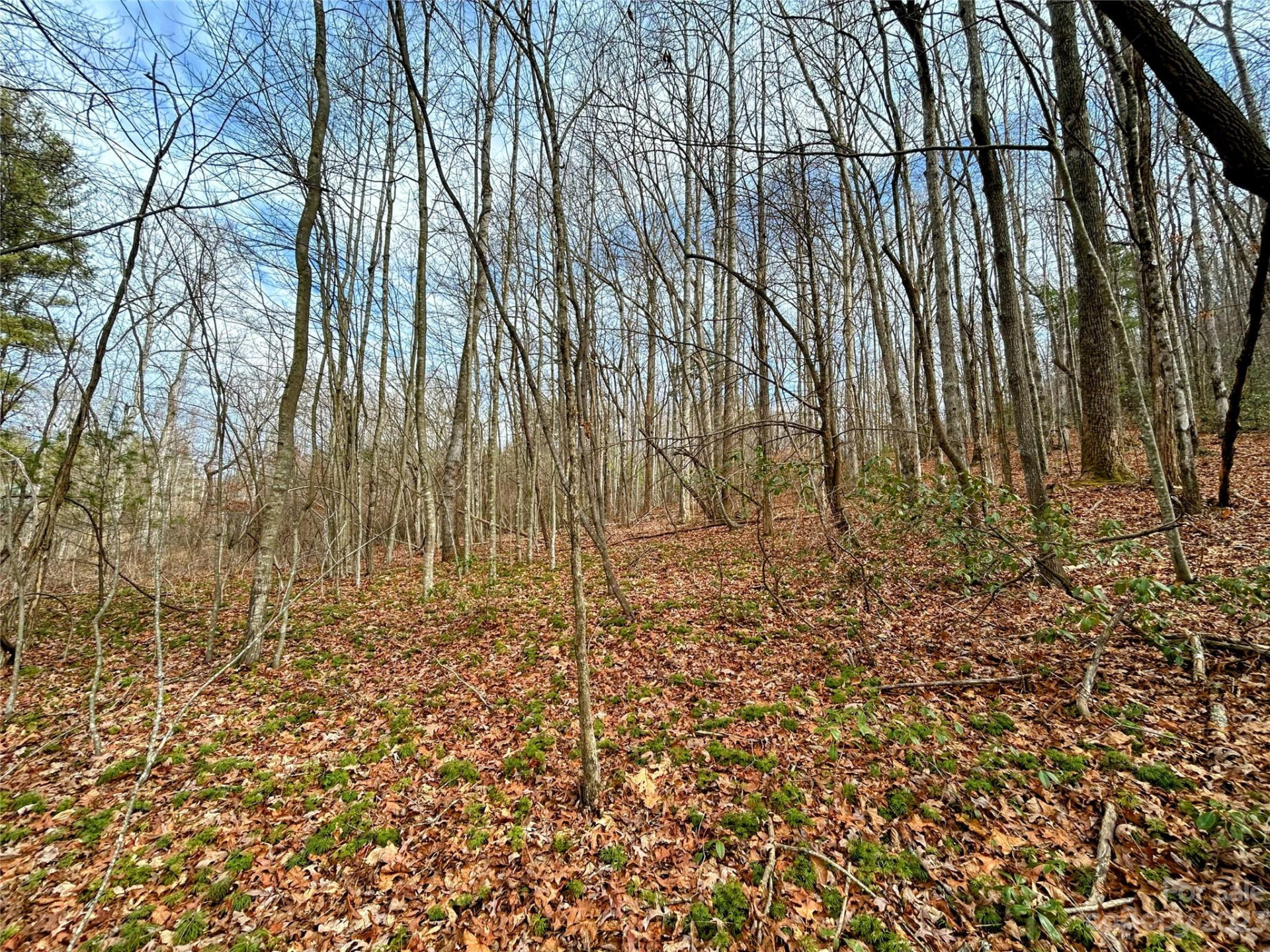 Lot 8 Azalea Way - Photo 3