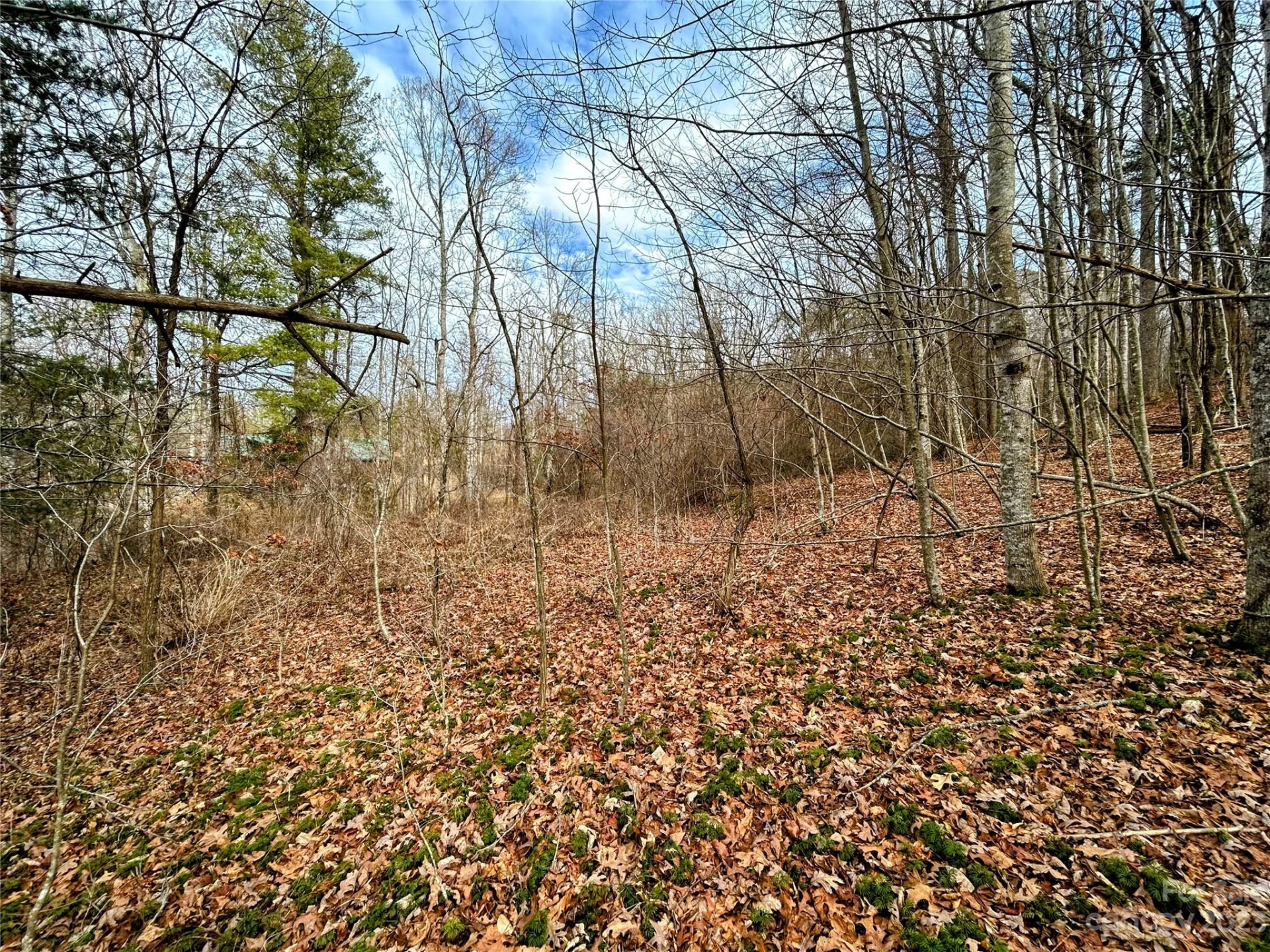 Lot 8 Azalea Way - Photo 4