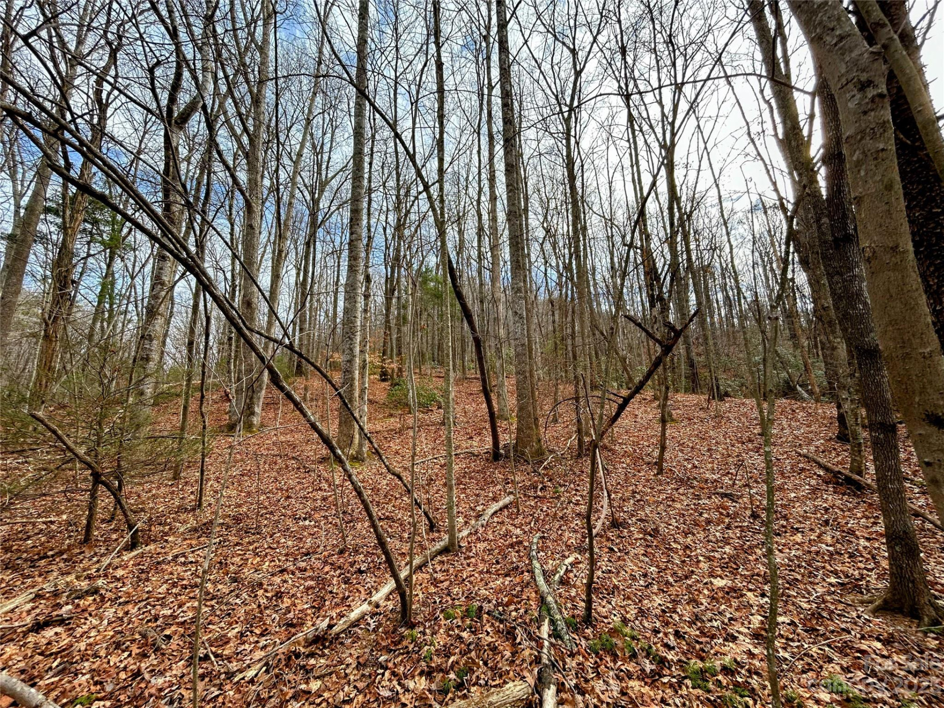 Lot 8 Azalea Way - Photo 5