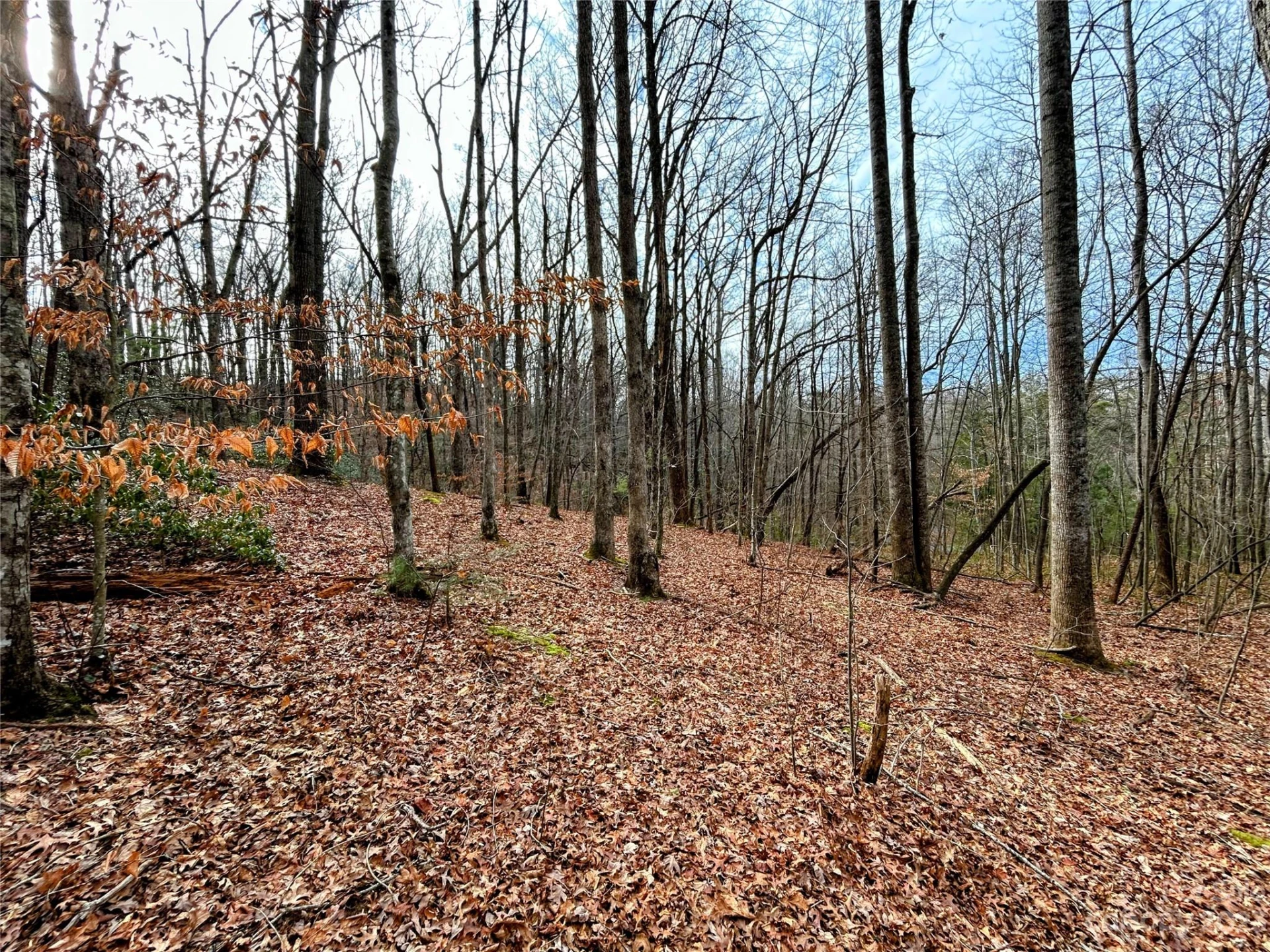 Lot 8 Azalea Way - Photo 7