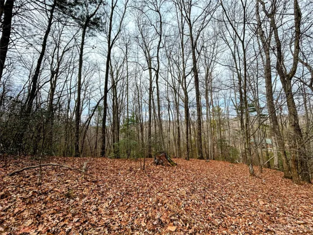 Lot 11 Rhododendron Drive, Saluda, NC, 28773
