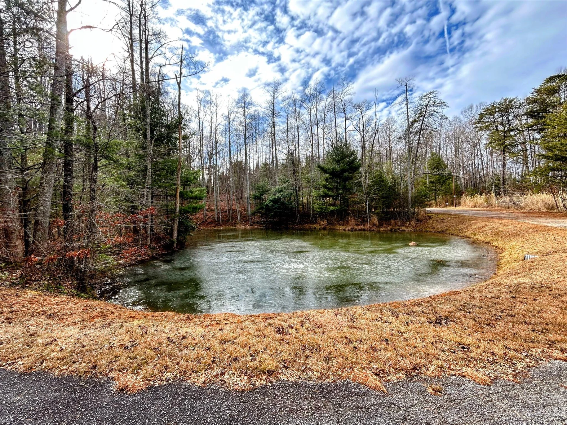 Lot 11 Rhododendron Drive - Photo 11