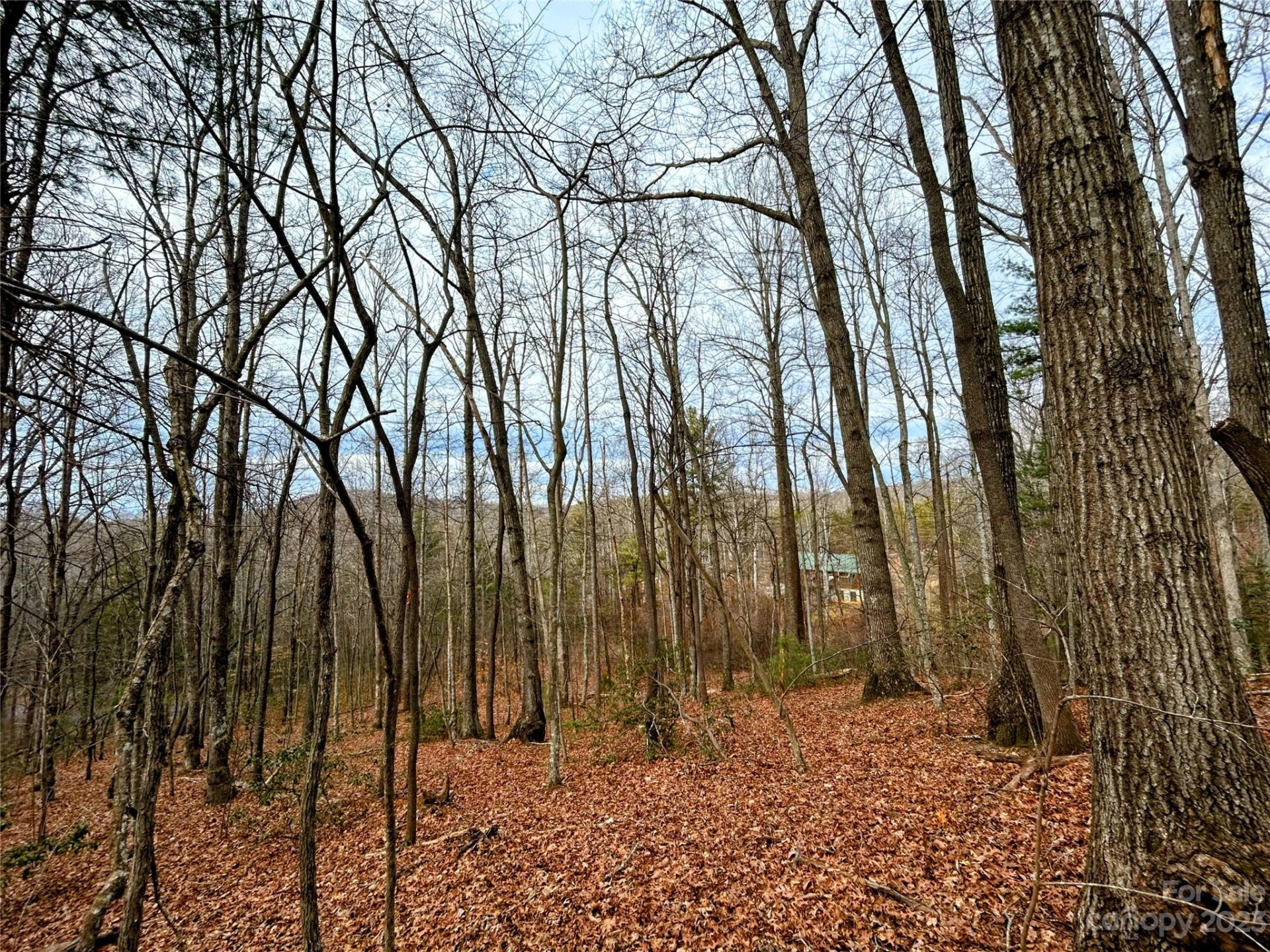 Lot 11 Rhododendron Drive - Photo 5