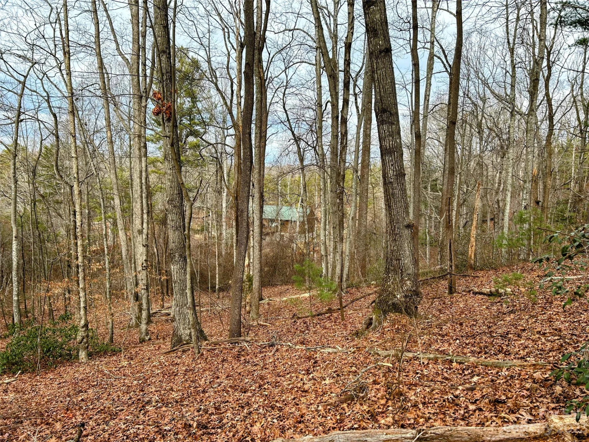 Lot 11 Rhododendron Drive - Photo 7