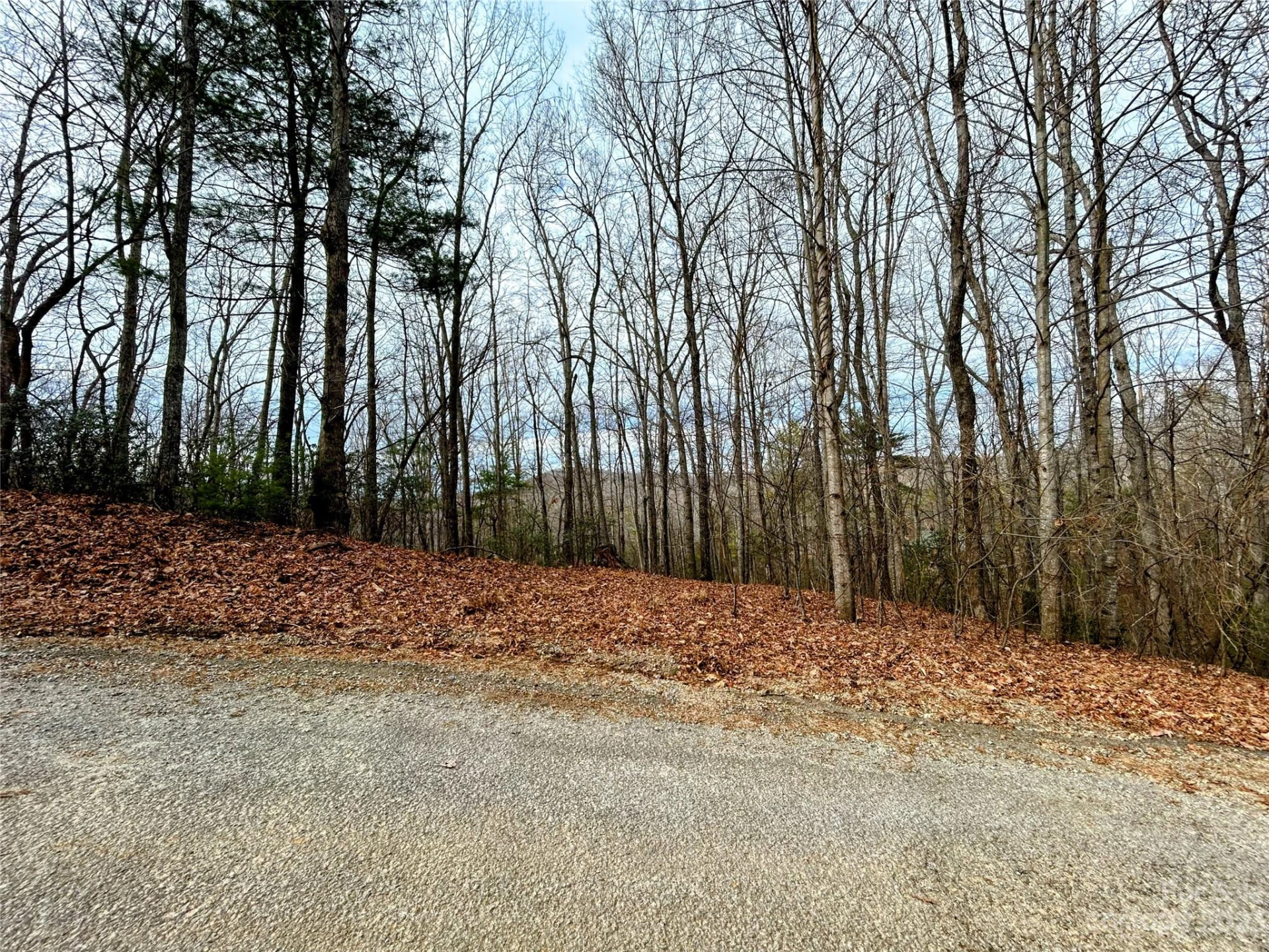 Lot 11 Rhododendron Drive - Photo 8