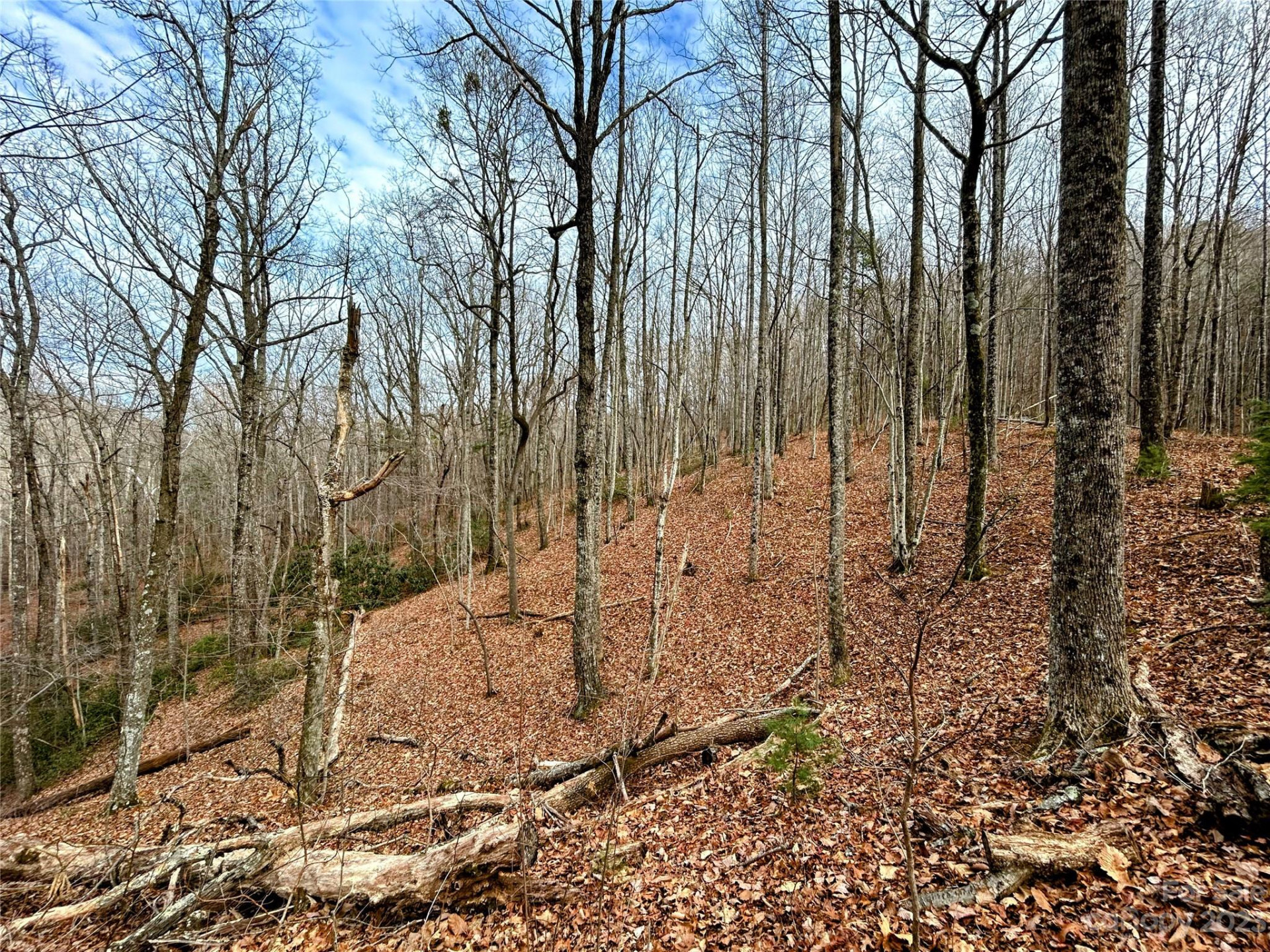 Lot 12 Rhododendron Drive - Photo 11