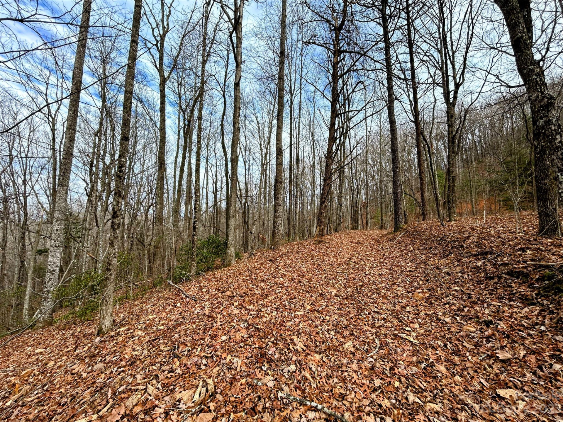 Lot 12 Rhododendron Drive - Photo 12