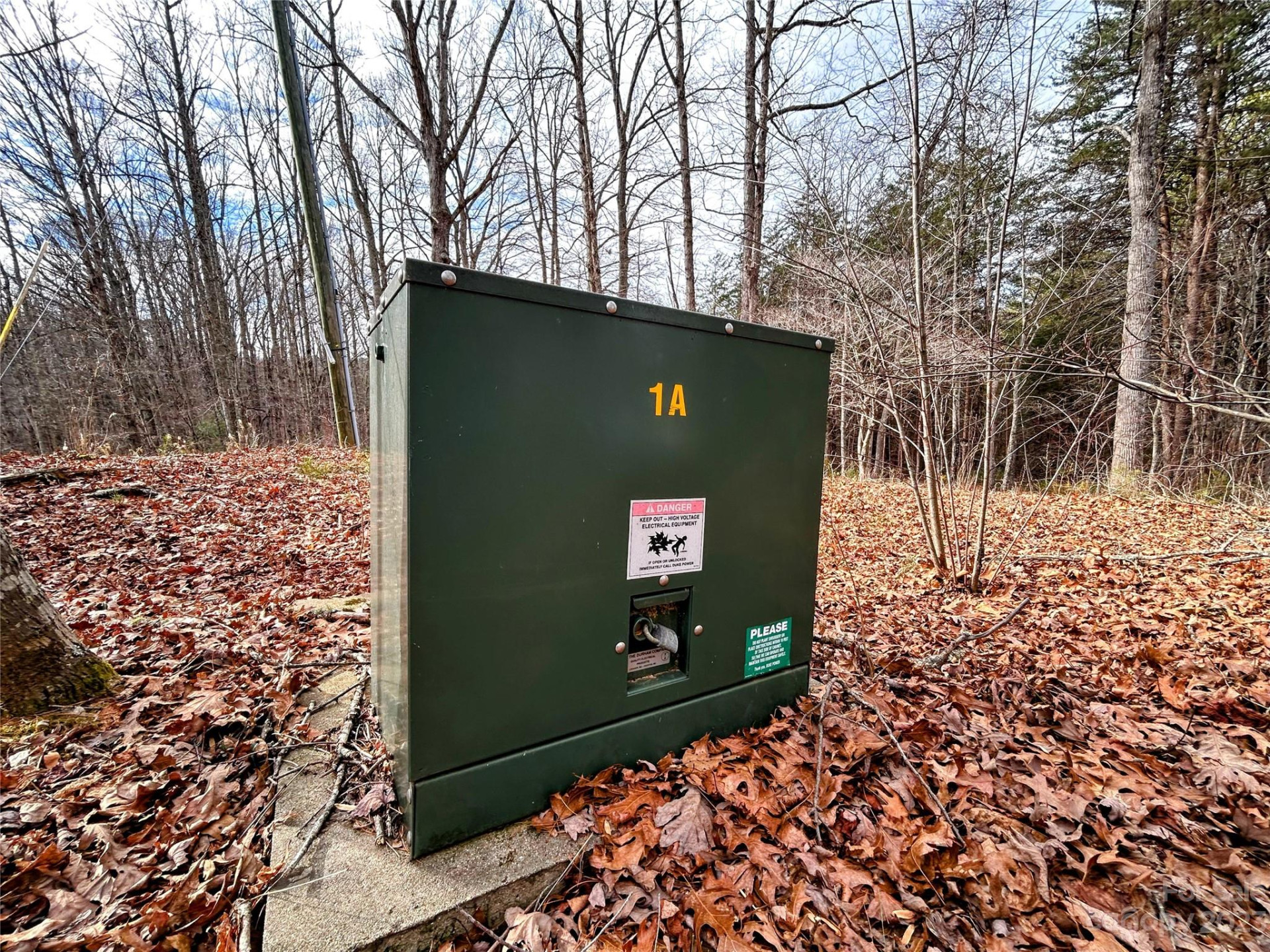 Lot 12 Rhododendron Drive - Photo 14