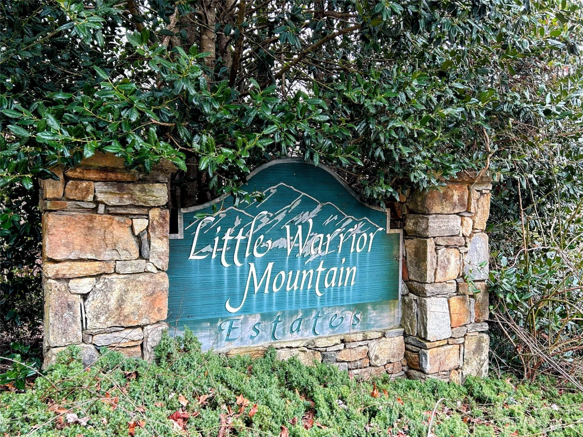 Lot 12 Rhododendron Drive - Photo 17