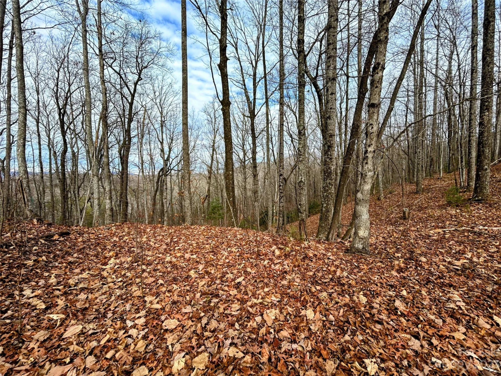 Lot 12 Rhododendron Drive - Photo 6