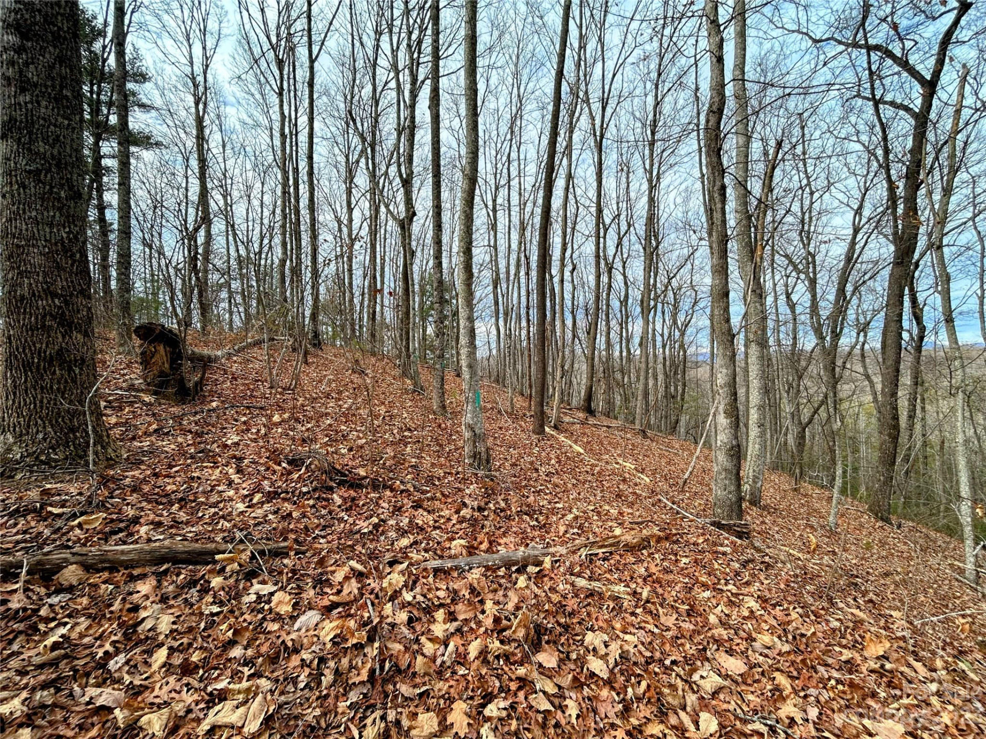 Lot 12 Rhododendron Drive - Photo 7