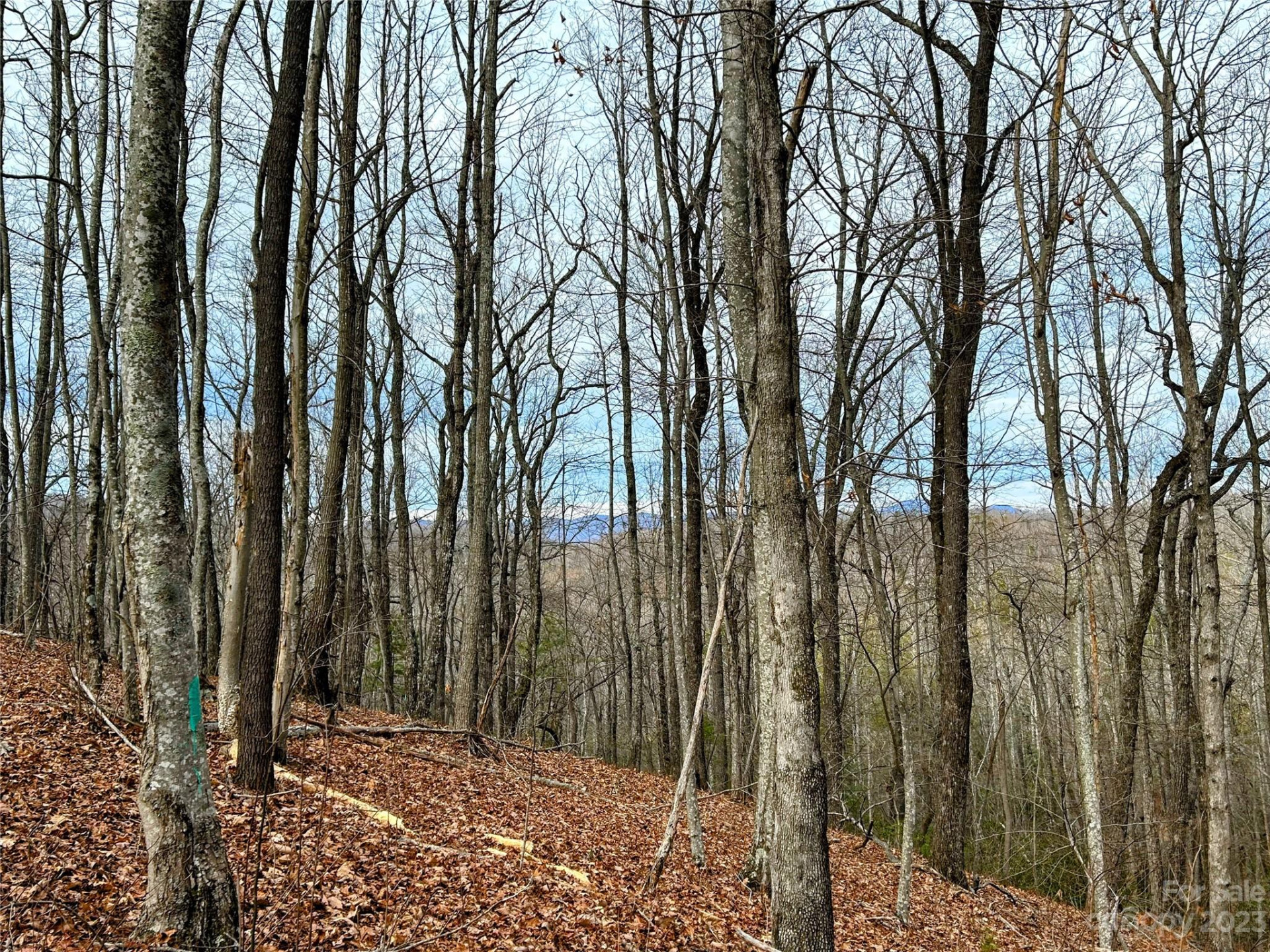 Lot 12 Rhododendron Drive - Photo 8