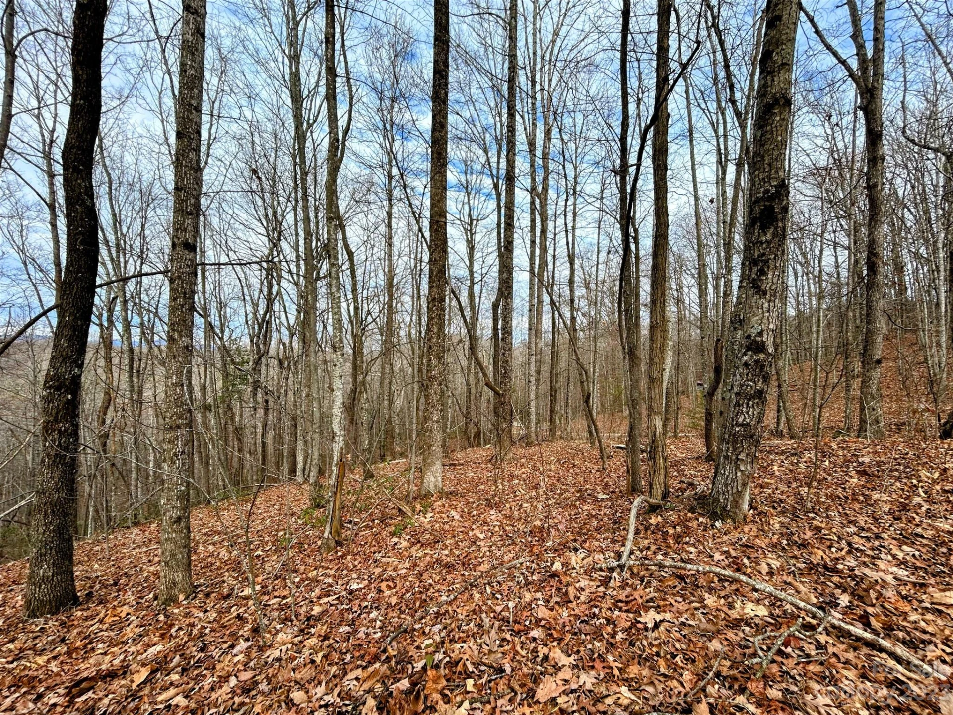 Lot 12 Rhododendron Drive - Photo 9