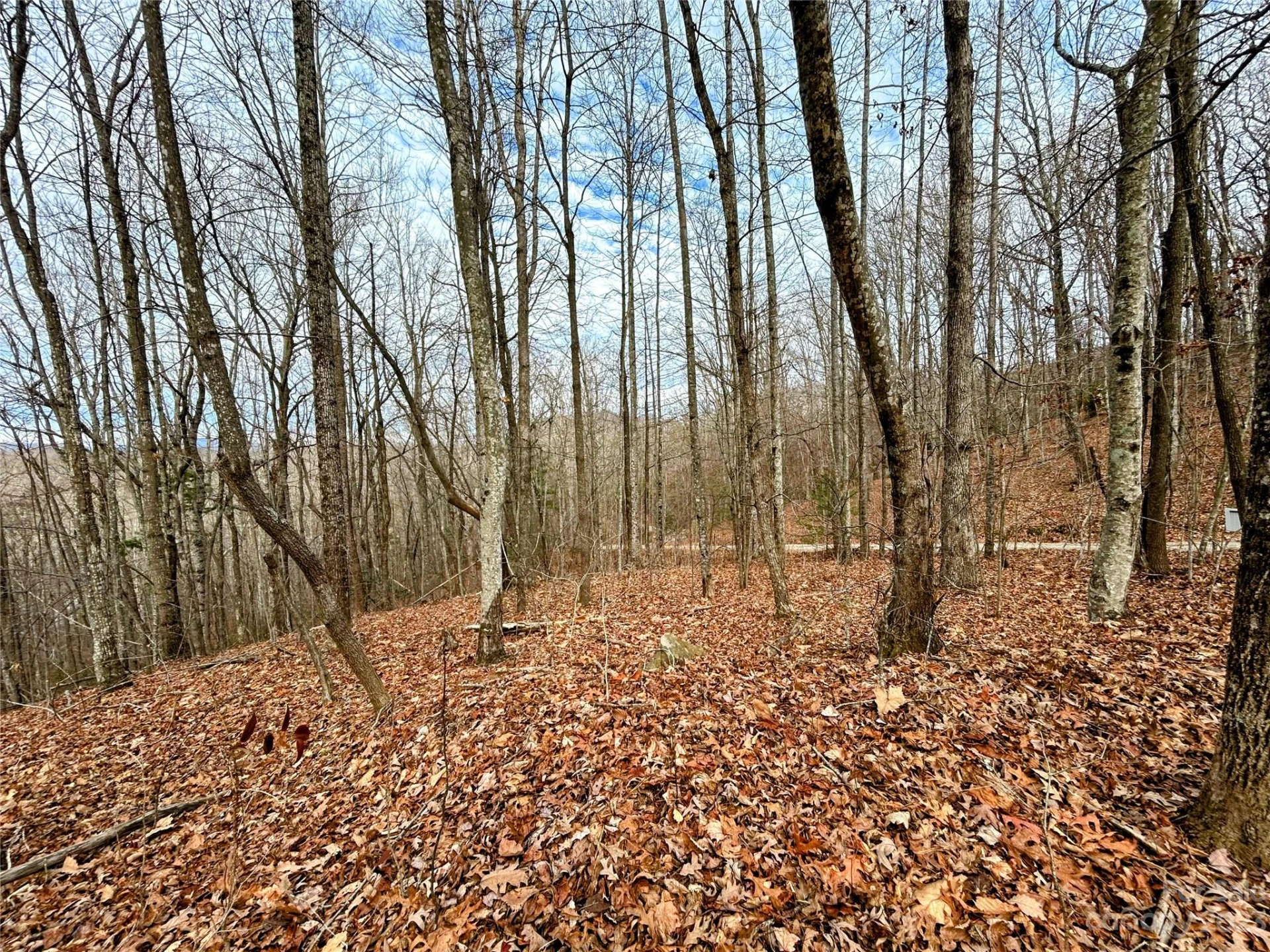 Lot 12 Rhododendron Drive - Photo 10