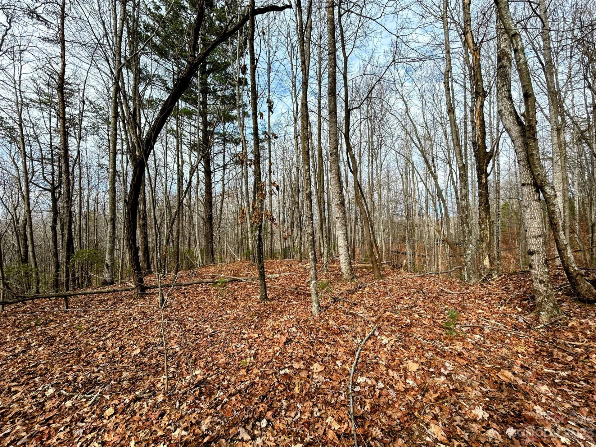 Lot 14 Rhododendron Drive
