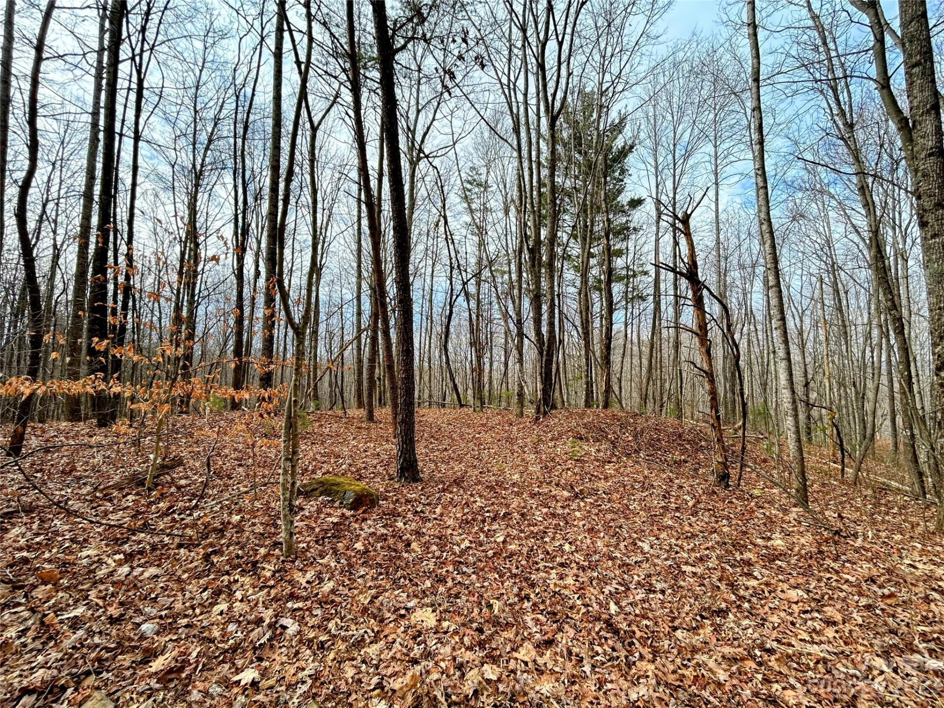 Lot 14 Rhododendron Drive - Photo 2