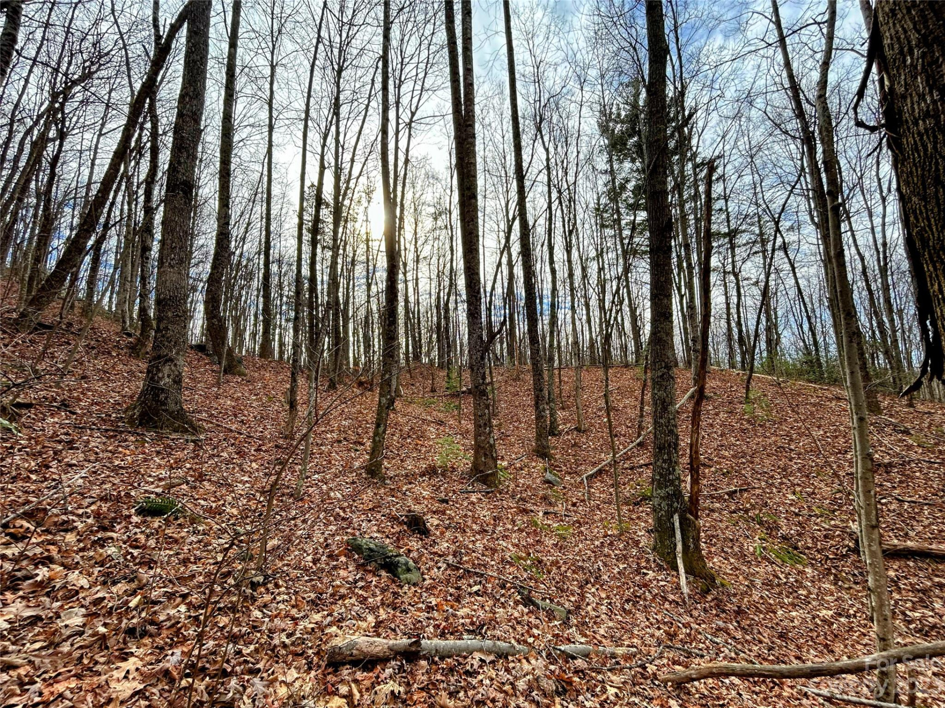 Lot 14 Rhododendron Drive - Photo 11