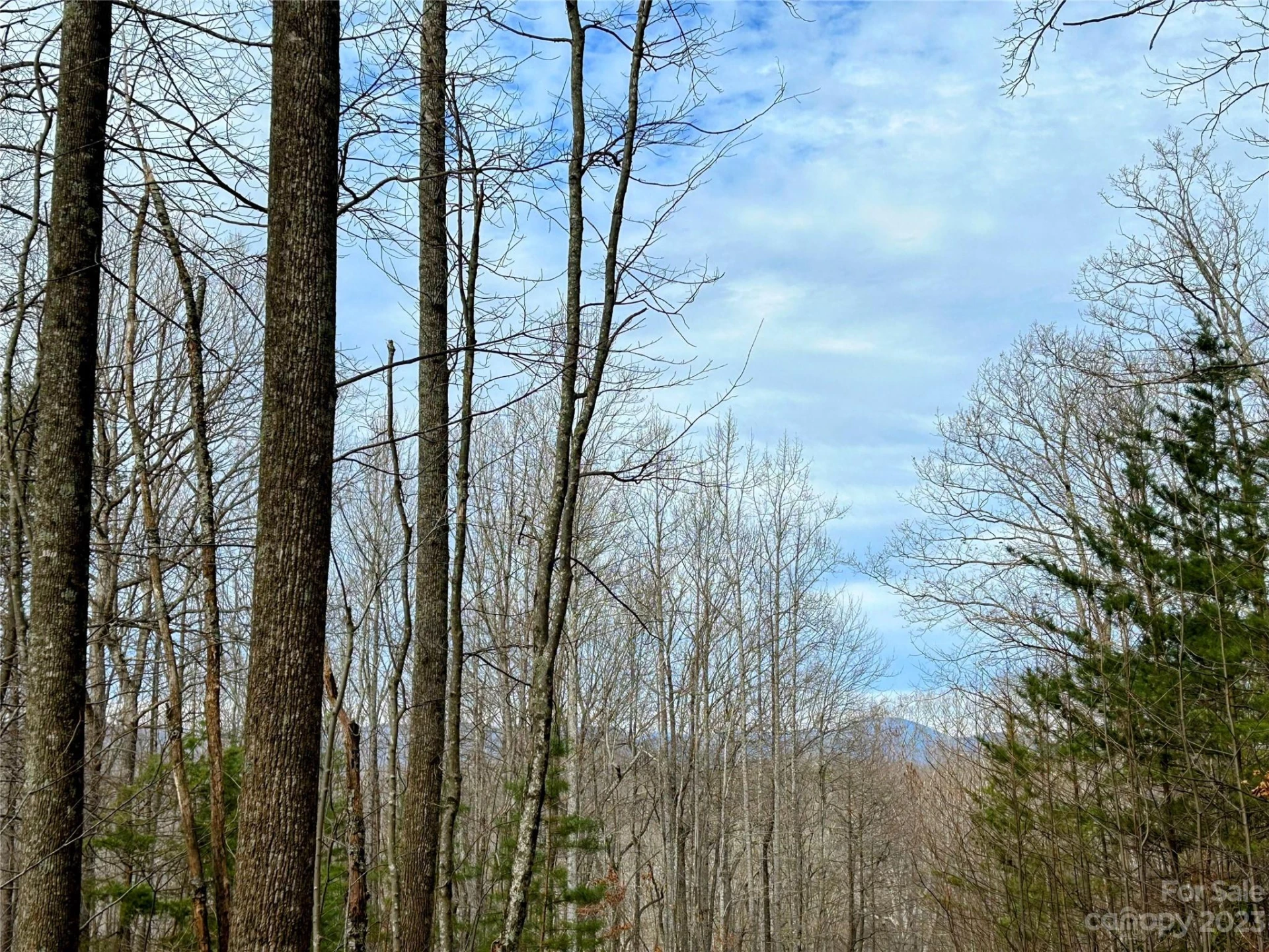 Lot 14 Rhododendron Drive - Photo 6