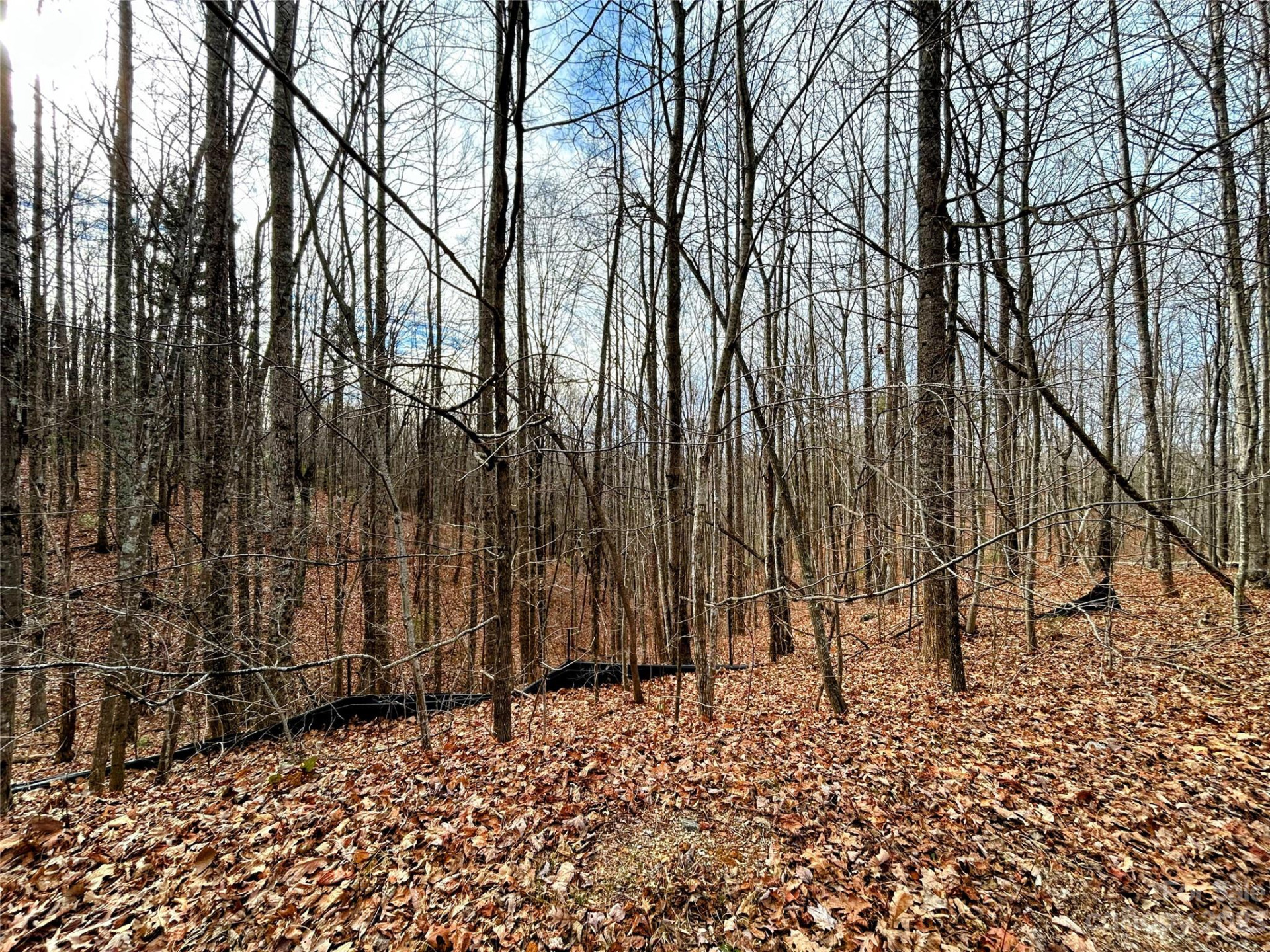 Lot 14 Rhododendron Drive - Photo 8