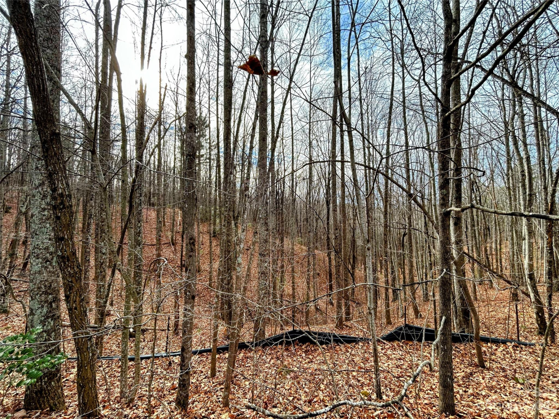 Lot 14 Rhododendron Drive - Photo 9