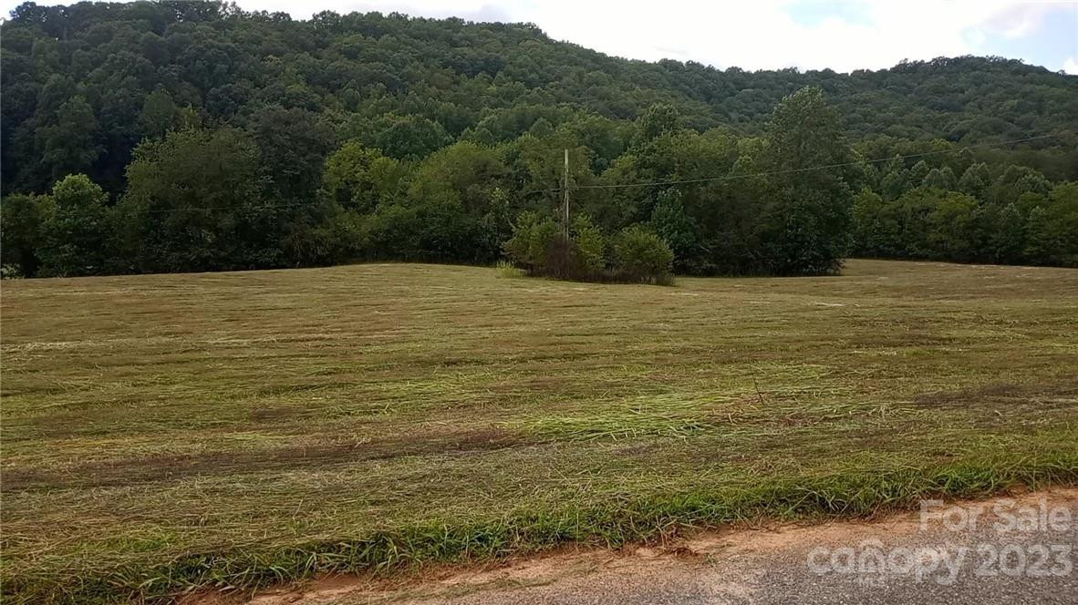 410 Plemmons Place #9 - Photo 4