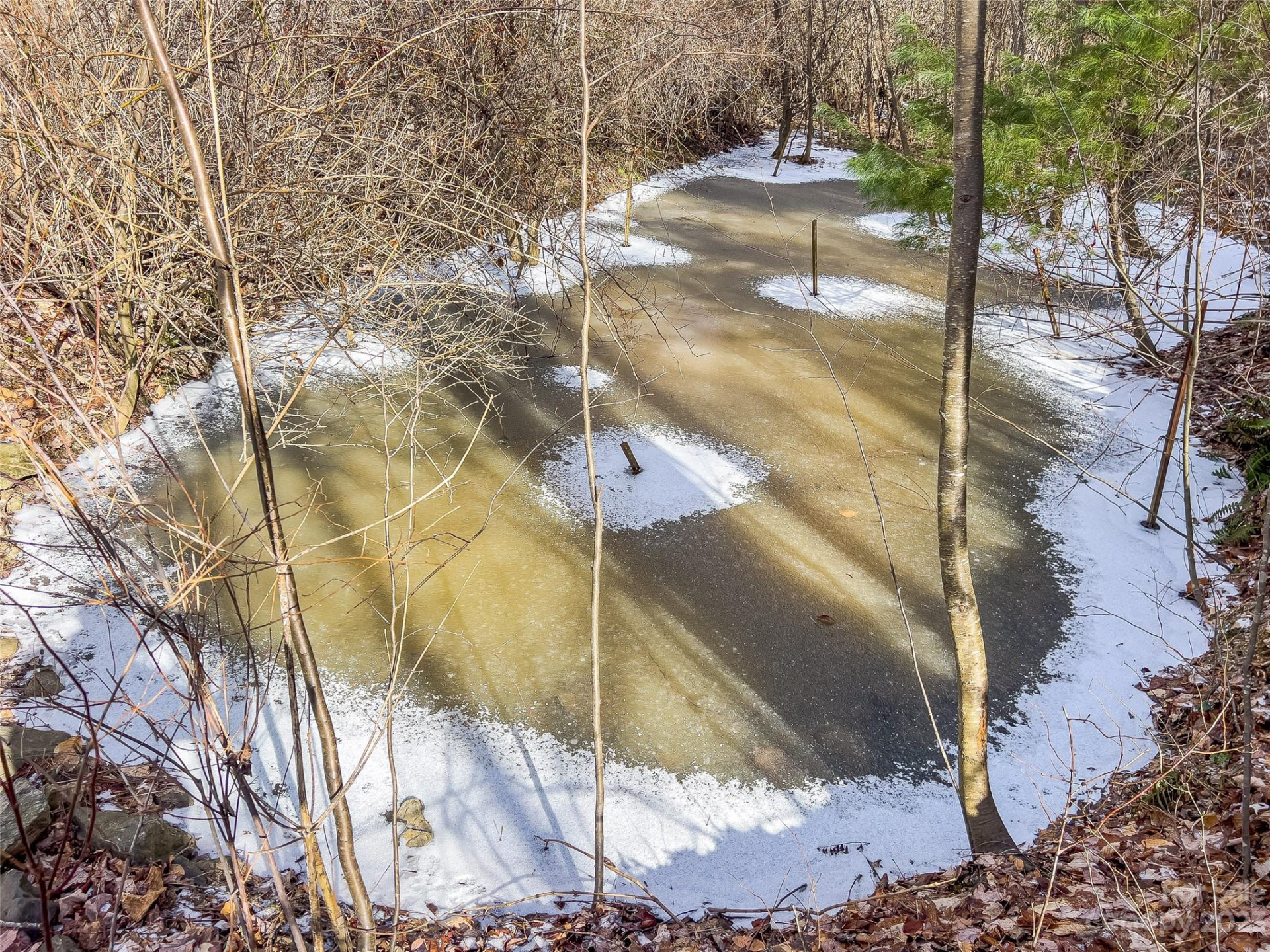 1592 & 1370 Bone Camp Road - Photo 38