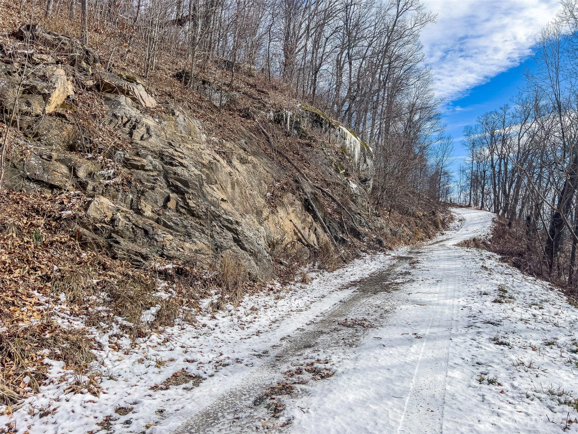 1592 & 1370 Bone Camp Road - Photo 40