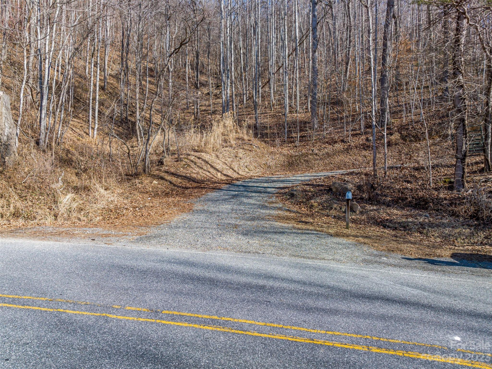 1592 & 1370 Bone Camp Road - Photo 9