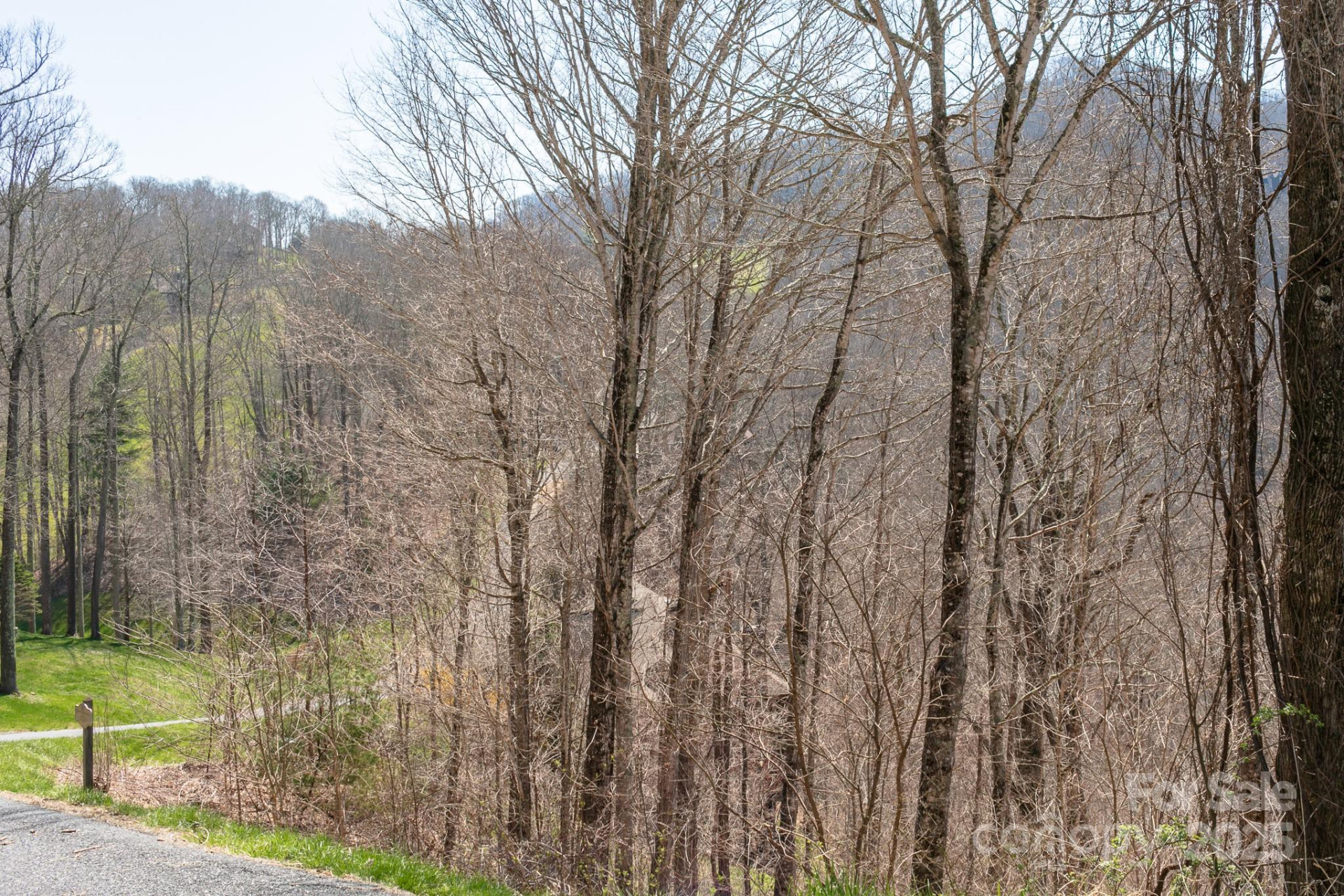 LOT 13 Austin Mountain Drive #13/3 - Photo 13