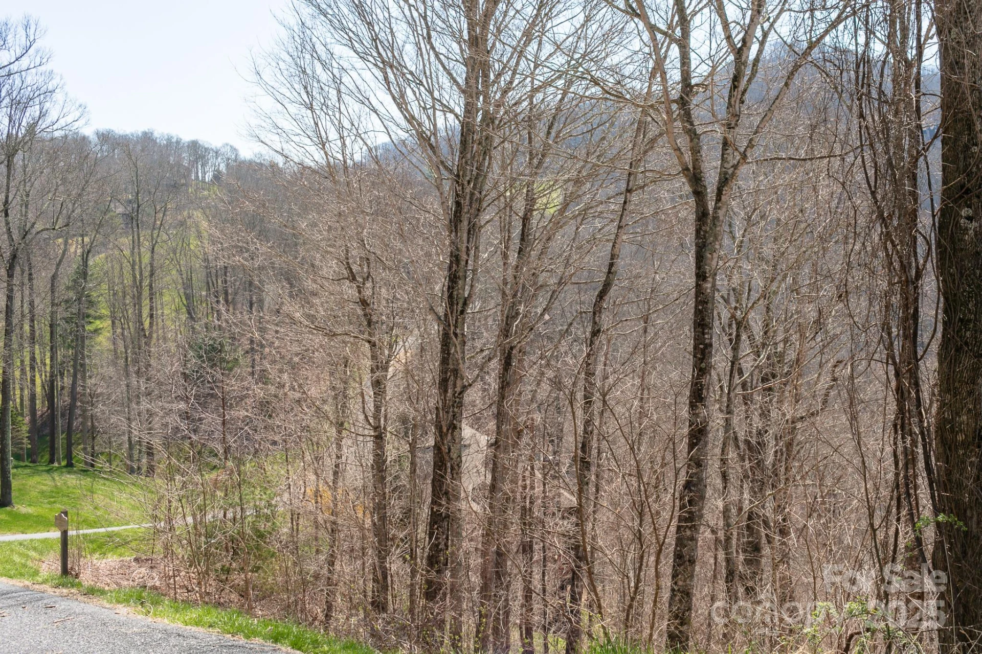 LOT 13 Austin Mountain Drive #13/3 - Photo 13