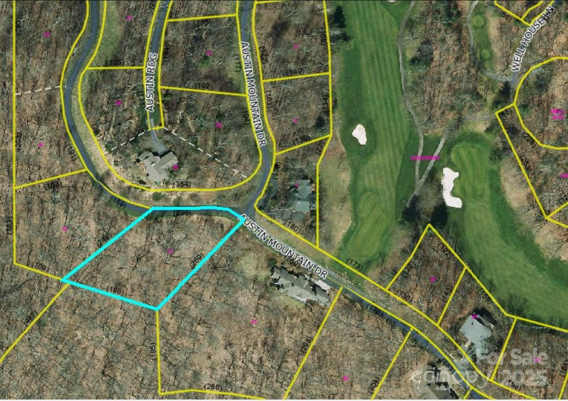 LOT 13 Austin Mountain Drive #13/3 - Photo 18